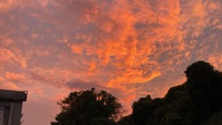 Thumbnail of post image 043