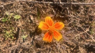 Thumbnail of post image 077