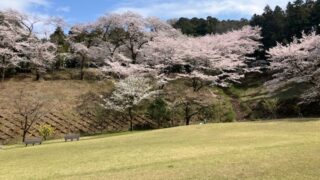 Thumbnail of post image 060