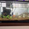 Thumbnail of related posts 109