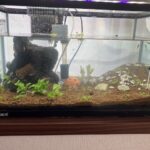 Thumbnail of related posts 110