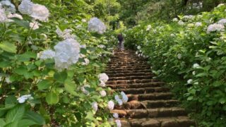Thumbnail of post image 109